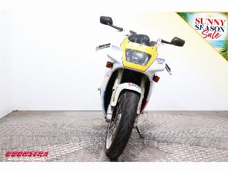 Suzuki RGV 250 VJ22 Pepsi picture 6