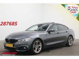 škoda osobní automobily BMW 4-serie Gran Coupé 420d Aut. Sport-Line BiXenon Leder Navi Clima Cruise Camera PDC 2015/10
