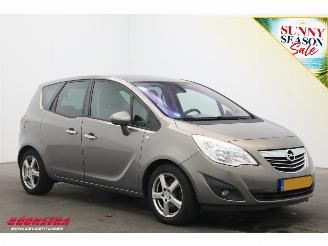 Opel Meriva 1.7 CDTi Cosmo Clima Cruise PDC AHK picture 2