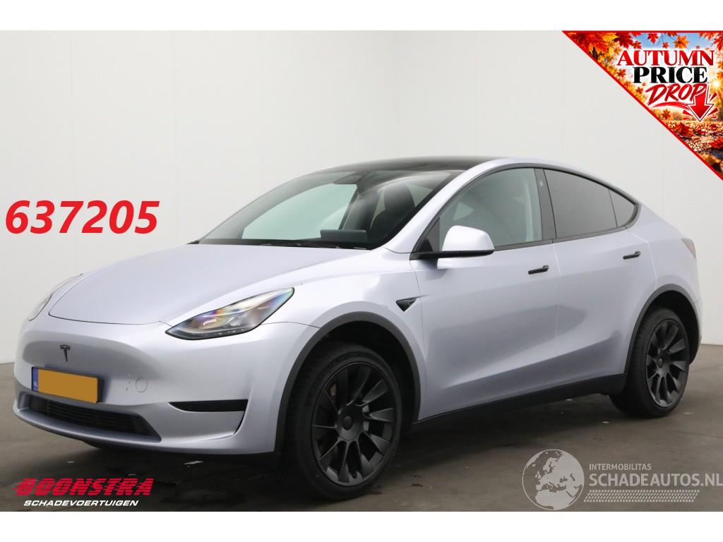 Tesla Model Y RWD 58 kWh Pano LED ACC LRHZ Camera AHK