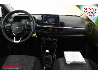 Kia Picanto 1.0 DPI DynamicLine 5p. ACC Navi Clima Bluetooth Camera PDC picture 14