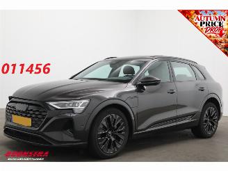 Audi Q8 50 quattro Advanced 95 kWh B&O Pano ACC Leder Memory SHZ Apple/Android Virtual Camera PDC picture 1