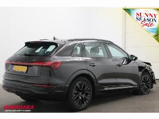 Audi Q8 50 quattro Advanced 95 kWh B&O Pano ACC Leder Memory SHZ Apple/Android Virtual Camera PDC picture 3