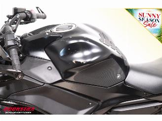 Kawasaki Ninja 650 ABS Arrow picture 11