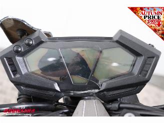 Kawasaki Z 800 ABS Akrapovic picture 17