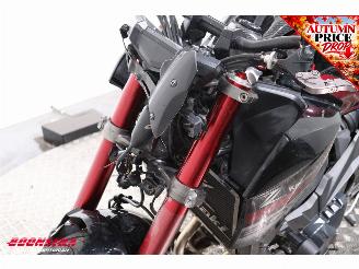 Kawasaki Z 800 ABS Akrapovic picture 13
