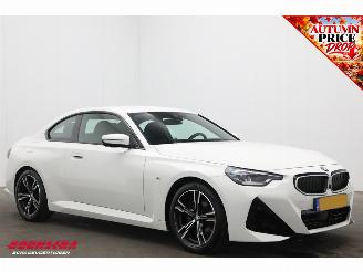 BMW 2-serie Coupé 220i M Sport Cruise Navi SHZ Virtual Apple/Android Camera PDC picture 2