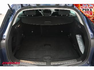 Renault Mégane Estate 1.3 TCe AUT Bose Cruise Navi Clima Camera PDC AHK picture 20