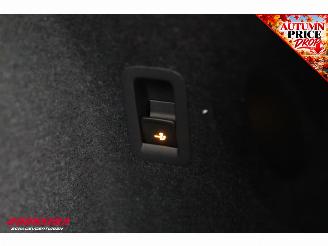 Cupra Terramar VZ Performance 2.0 TSI Aut. Sennheiser ACC Memory SHZ LrHZ 360° PDC AHK picture 43