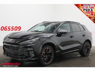 Damaged car Cupra Terramar VZ 2.0 TSI 4Drive DSG Sennheiser ACC Memory SHZ LrHZ 360° PDC AHK 2026/5