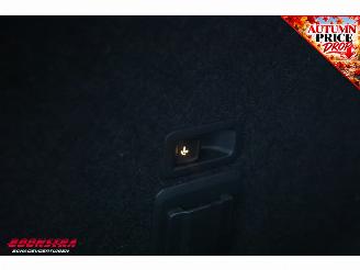 Cupra Leon 2.0 TDI DSG ACC Navi Clima SHZ Virtual Apple/Android PDC AHK picture 32