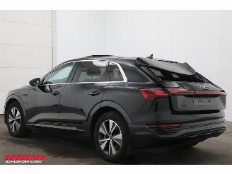 Audi Q8 55 quattro Advanced Edition 115 kWh B&O Pano Navi SHZ Virtual Apple/Android Camera PDC picture 4