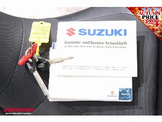 Suzuki  DL 1050 V-Strom ABS Cruise Heizgriffe 3X Koffer picture 13