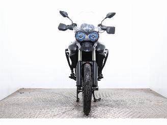Triumph Tiger 800 XC ABS Heizgriffe picture 6