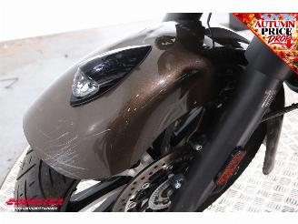 Indian  Roadmaster ABS LED Cruise Heizgriffe SHZ Navi Bluetooth Radio picture 11