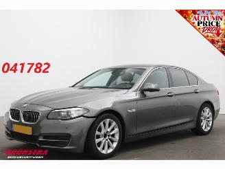Auto incidentate BMW 5-serie 520d Aut. Cruise Navi Virtual Leder SHZ PDC Clima 2014/2