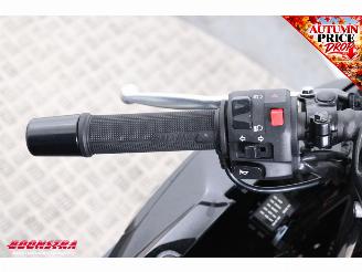 Kawasaki Ninja 500 SE 35 KW ABS LED picture 16