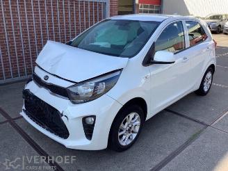 Sloopauto Kia Picanto Picanto (JA), Hatchback, 2017 1.0 12V 2018/7