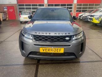 Auto da rottamare Land Rover Range Rover Range Rover Evoque II (LZC/LZS/LZH), SUV, 2018 2.0 P250 MHEV 16V AWD 2019/4