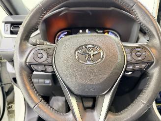 Toyota Rav-4 2.5 VVT-i Hybrid Style Pano/Clima picture 32
