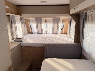 LMC  Munsterland 430D Sassino picture 11