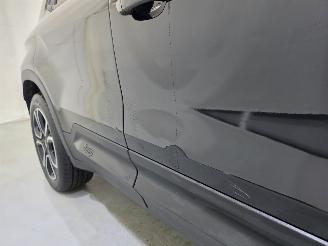 Jeep Avenger 1st Edition Sfeerverlichting Bjr.2023 picture 7