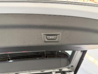 BMW X1 25e PHEV xDrive Aut7 Pano picture 22