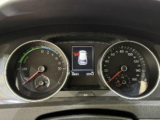 Volkswagen Golf e-Golf E-DITION Aut. picture 25