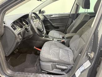 Volkswagen Golf e-Golf E-DITION Navi/NAP picture 7
