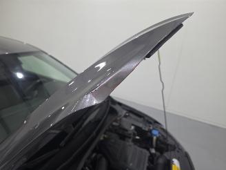 Volkswagen Polo 1.0 TSI Highline Navi picture 29