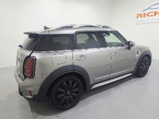 Mini Countryman COOPER SE ALL4 Chili Aut Pano 100.Kw picture 31