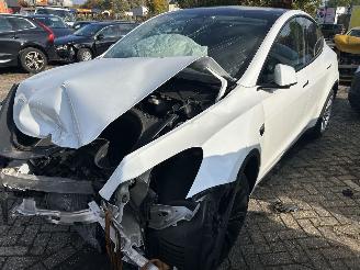 Schadeauto Tesla Model Y Standard Range RWD 2023/12