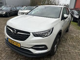 skadebil auto Opel Grandland X 1.2 Turbo Business Edition  ( Koplings probleem ) 2020/10