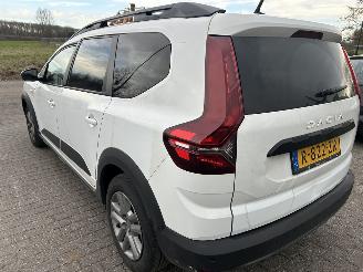 Dacia Jogger 1.0 Bi-Fuel Comfort  ( 7 persoons- LPG ) picture 6