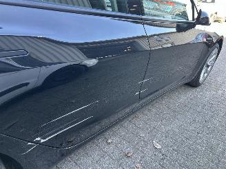 Tesla Model 3 Standard RWD Plus   60 kWh picture 19