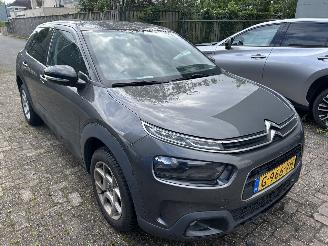 Citroën C4 cactus 1.2 PureTech Origins picture 3