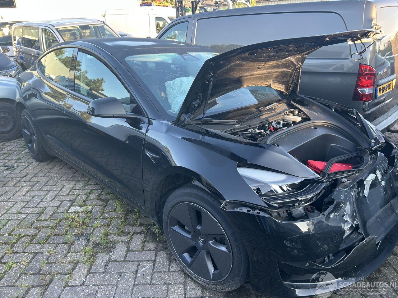 Tesla Model 3 Stnd RWD Plus