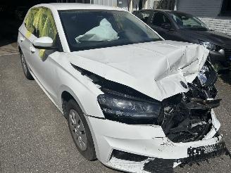 Skoda Fabia 1.0 TSI  Selection picture 3