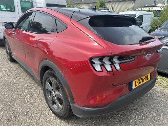 Ford Mustang Mach-e  picture 9