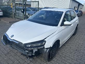 Schadeauto Skoda Fabia 1.0 TSI 2025/11