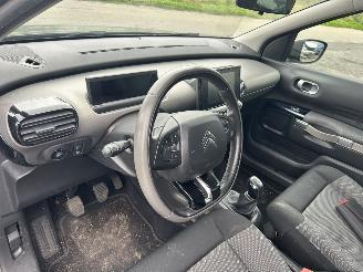 Citroën C4 cactus 1.6 BlueHDI picture 11