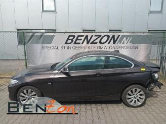 Sloopauto BMW 2-serie 2 serie (F22), Coupe, 2013 / 2021 218d 2.0 16V 2014/7