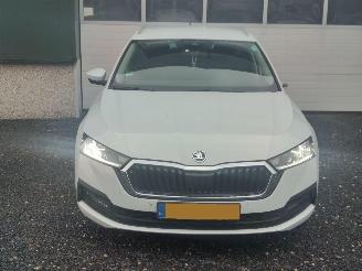 Skoda Octavia 1.0 TSI Business Edition picture 2