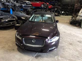 Jaguar XJ XJ (X351), Sedan, 2009 3.0 D V6 24V picture 2