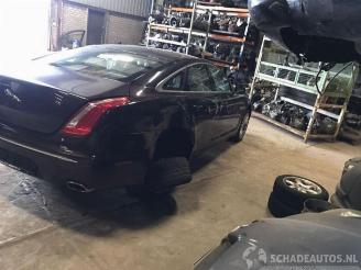 Jaguar XJ XJ (X351), Sedan, 2009 3.0 D V6 24V picture 4