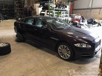 Jaguar XJ XJ (X351), Sedan, 2009 3.0 D V6 24V picture 3