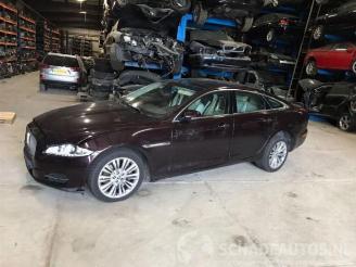 Vrakbiler auto Jaguar XJ XJ (X351), Sedan, 2009 3.0 D V6 24V 2011/3