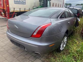 Jaguar XJ  picture 3