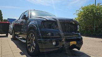 Salvage car Ford USA F-150 F-150, Pick-up, 2003 / 2008 5.4 V8 4x4 2006/5