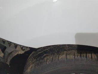 Ford Transit CUSTOM picture 23
